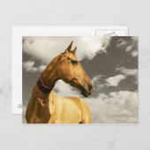 Golden paard van Turkmenistan Briefkaart (Voorkant / Achterkant)