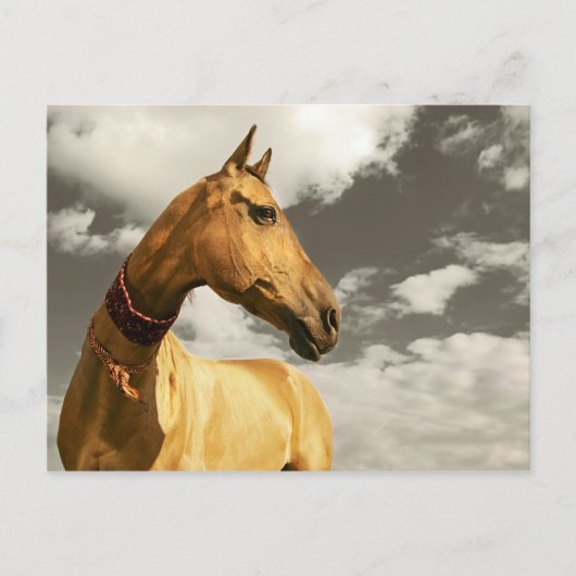 Golden paard van Turkmenistan Briefkaart (Voorkant)