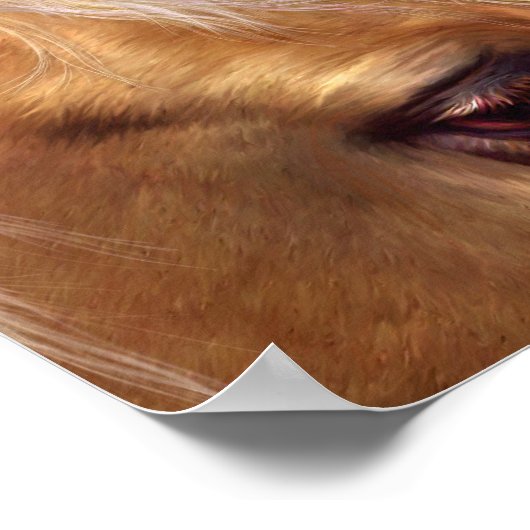 Golden Palomino Art Poster/Afdruk Poster (Hoek)