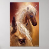 Golden Palomino Art Poster/Afdruk Poster (Voorkant)