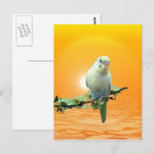 Golden Paraket Briefkaart (Voorkant / Achterkant)