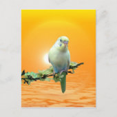 Golden Paraket Briefkaart (Voorkant)