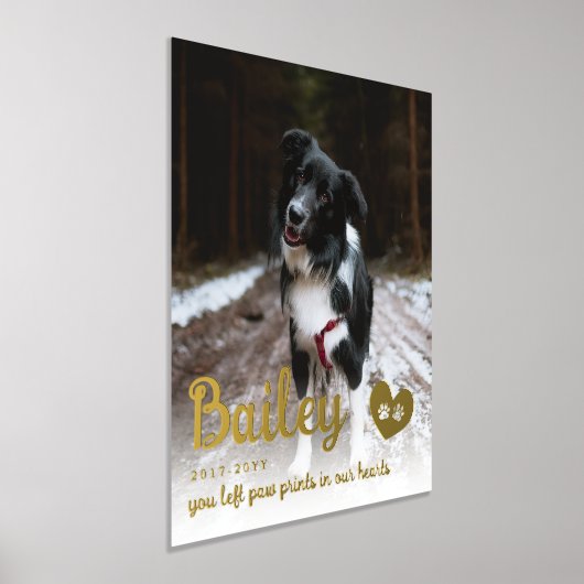 Golden Paw-afdrukken in ons hart Folie Afdrukken (Laagn)