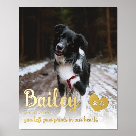 Golden Paw-afdrukken in ons hart Folie Afdrukken (Voorkant)