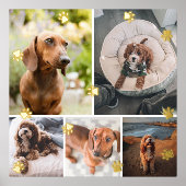 Golden Paw Drukt Pet Foto Collage Folie Afdrukken (Voorkant)