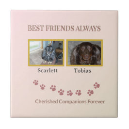 Golden Pawprints Cherished Companions Tegeltje