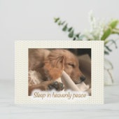 Golden Peaceful Puppy Flat Christmas Kaart (Staand voorkant)