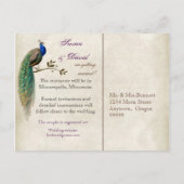 Golden Peacock & Swirls - sparen het Briefkaart va (Achterkant)