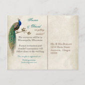 Golden Peacock & Swirls - sparen het Briefkaart va (Achterkant)