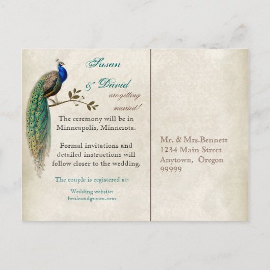 Golden Peacock & Swirls - sparen het Briefkaart va (Achterkant)