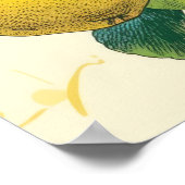 Golden Pear Poster (Hoek)