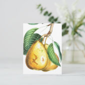 Golden pear Recipe Card Briefkaart (Staand voorkant)