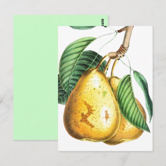 Golden pear Recipe Card Briefkaart (Voorkant / Achterkant)