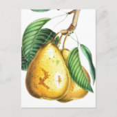 Golden pear Recipe Card Briefkaart (Voorkant)