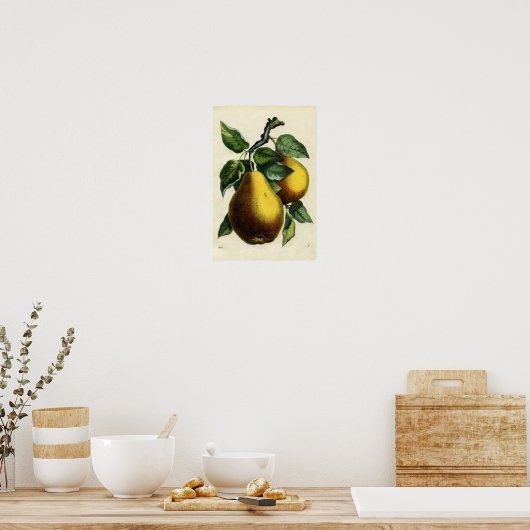 Golden Pears Poster (Keuken)