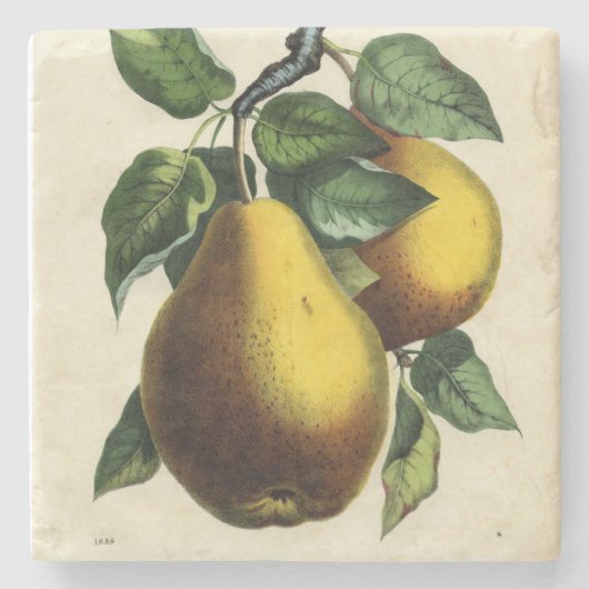 Golden Pears Square Stenen Onderzetter (Voorkant)