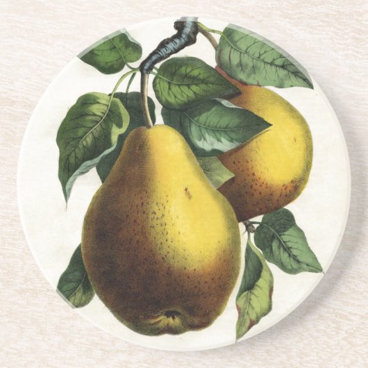 Golden Pears Zandsteen Onderzetter (Voorkant)