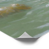 GOLDEN PELICAN POSTER (Hoek)