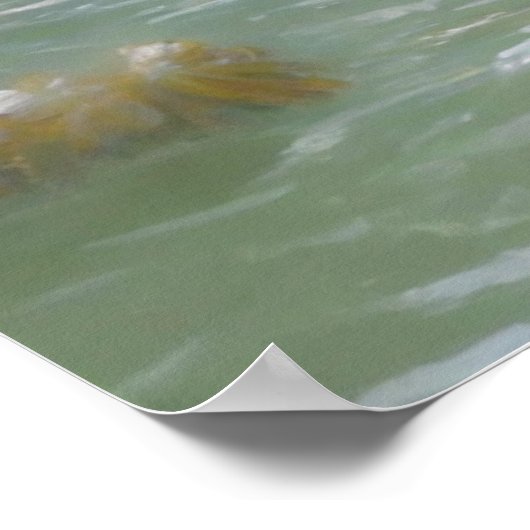 GOLDEN PELICAN POSTER (Hoek)