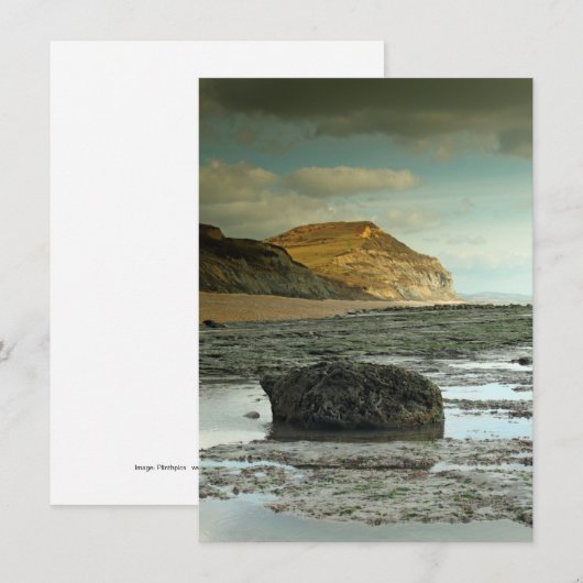 Golden Pet, Dorset-kaart (Voorkant / Achterkant)