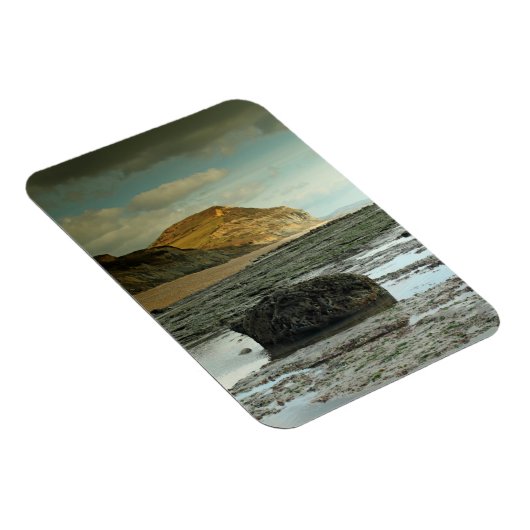 Golden Pet, Dorset Magneet (Rechterzijde)