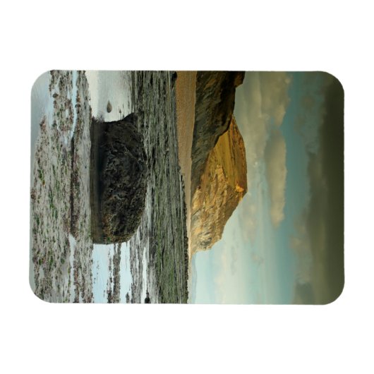 Golden Pet, Dorset Magneet (Horizontaal)