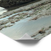 Golden Pet, Dorset Poster (Hoek)