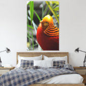 Golden Pheasant Bird Canvas Afdruk (Insitu (Slaapkamer))