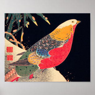 Golden Pheasant Bird Japans Woodblock Pr Poster