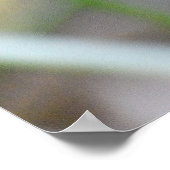 Golden Pheasant Bird Poster (Hoek)