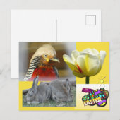 Golden Pheasant Happy Easter Briefkaart (Voorkant / Achterkant)