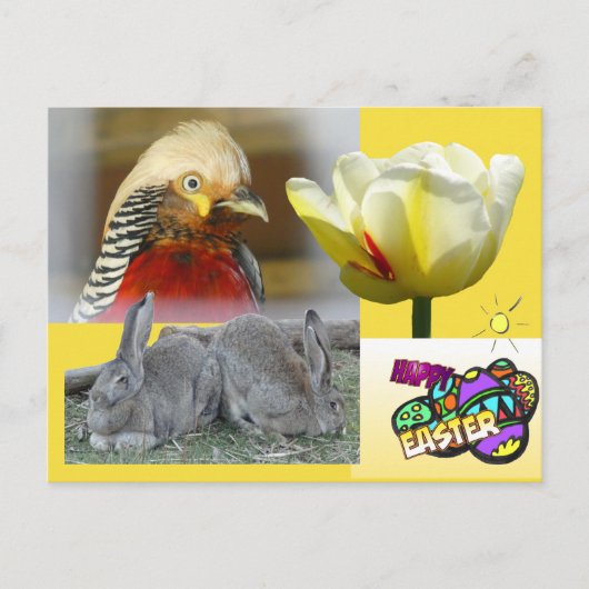 Golden Pheasant Happy Easter Briefkaart (Voorkant)