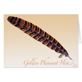 Golden Pheasant Hen Tail