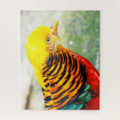 Golden Pheasant Legpuzzel (Verticaal)