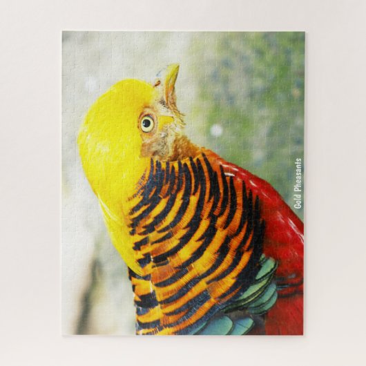 Golden Pheasant Legpuzzel (Verticaal)
