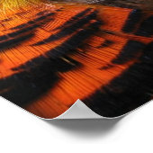 Golden Pheasant Poster (Hoek)