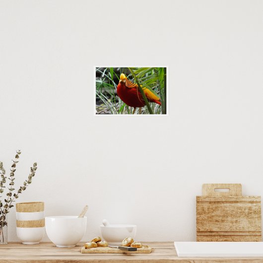 Golden Pheasant Poster (Keuken)