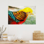 Golden Pheasant Poster (Keuken)