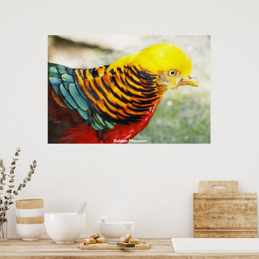Golden Pheasant Poster (Keuken)
