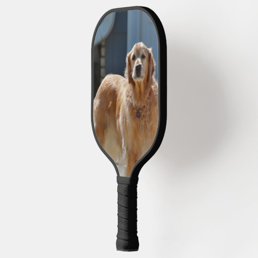 Golden Pickleball Paddle (Links)