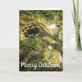 Golden Pinecone Feestdagen Kaart (Voorkant)