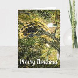 Golden Pinecone Feestdagen Kaart
