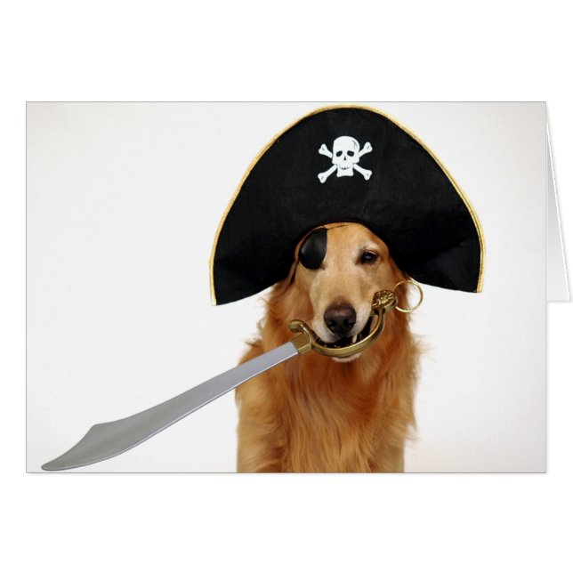 Golden Pirate (Voorkant Horizontaal)