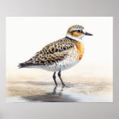 Golden Plover Bird Art Print Poster (Voorkant)