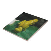 Golden Poison Dart Frog/Phyllobates doodbilis Tegeltje (Zijkant)