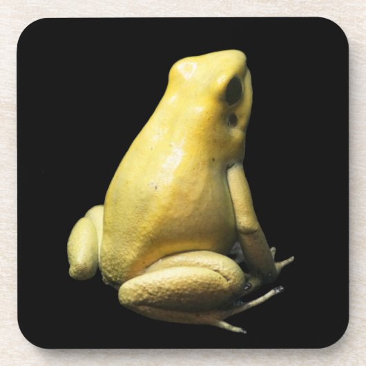 Golden Poison Frog Bier Onderzetter (Voorkant)