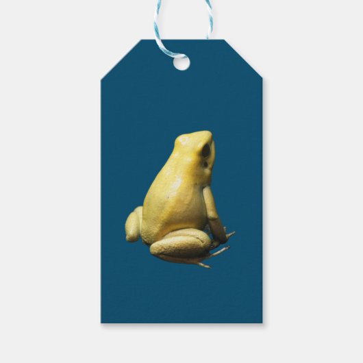 Golden Poison Frog Cadeaulabel (Voorkant)