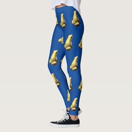 Golden Poison Frog Leggings (Links)