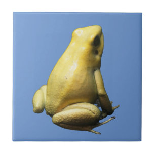 Golden Poison Frog Tegeltje