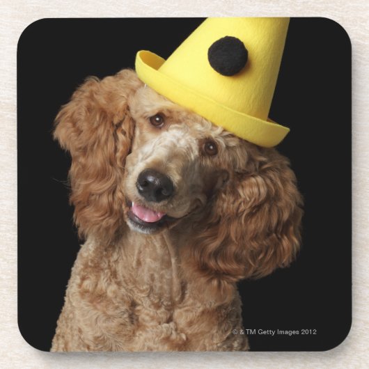Golden Poodle Dog met een geel pet Onderzetter (Voorkant)